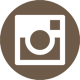 icona-instagram-rotonda